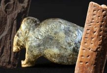 লিপি আবিষ্কারেরও হাজার হাজার বছর আগে থেকে শুরু হয় লেখালিখির চেষ্টা! মিলল ৪০,০০০ বছরের পুরনো নিদর্শন