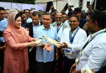 চিকিৎসক সমাবেশের উদ্বোধন করলেন প্রধানমন্ত্রী
