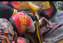 গোপালগঞ্জের মুকসুদপুরে নিয়ন্ত্রণ হারিয়ে গাছের সঙ্গে ট্রাকের ধাক্কা, নিহত ১