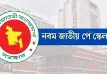 অক্টোবরের বেতনের সঙ্গে ৩ মাসের বকেয়া পাবেন সরকারি চাকরিজীবীরা, কাল থেকে শুরু হিসাব