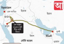 মাঝ-আকাশে কো-পাইলটের ছুরিকাঘাত, বিমান বিধ্বস্তের চেষ্টা নিয়ে তীব্র চাঞ্চল্য