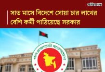 প্রবাসী কল্যাণ ও বৈদেশিক কর্মসংস্থান মন্ত্রণালয় সম্পর্কিত স্থায়ী কমিটির বৈঠকে প্রতিবেদন : সাত মাসে বিদেশে সোয়া চার লাখের বেশি কর্মী পাঠিয়েছে বাংলাদেশ, বেড়েছে প্রবাসী আয়